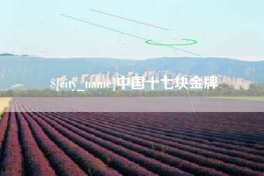 博白中国十七块金牌