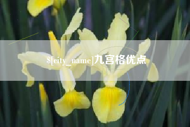 博白九宫格优点