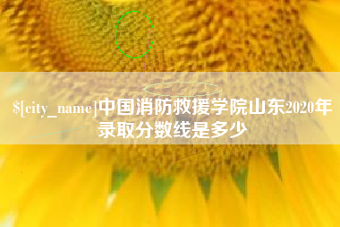 博白中国消防救援学院山东2020年录取分数线是多少