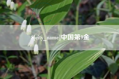 博白中国第9金