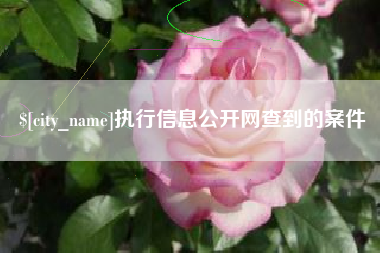 博白执行信息公开网查到的案件