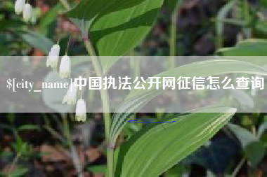 博白中国执法公开网征信怎么查询