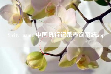 博白中国执行记录查询系统app
