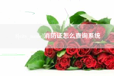 博白消防证怎么查询系统