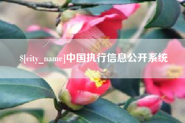 博白中国执行信息公开系统