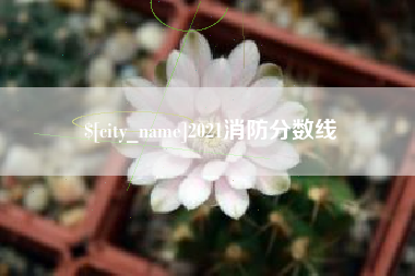 博白2021消防分数线