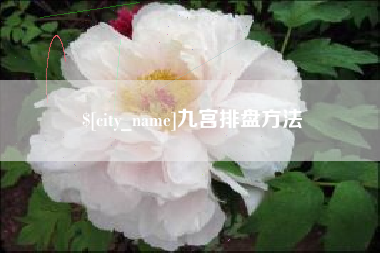 博白九宫排盘方法