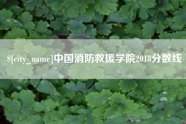 博白中国消防救援学院2018分数线