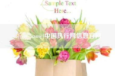 博白中国执行网信息官网