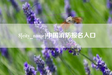 博白中国消防报名入口