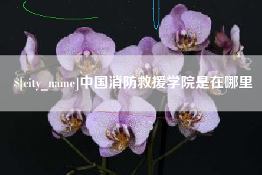 博白中国消防救援学院是在哪里