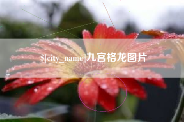 博白九宫格龙图片