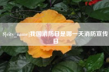 博白我国消防日是哪一天消防宣传日