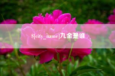 博白九金是谁