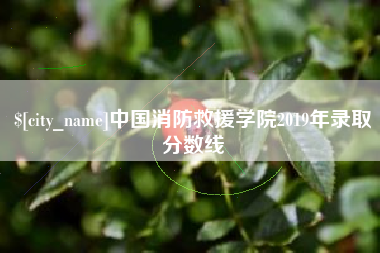 博白中国消防救援学院2019年录取分数线