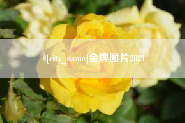 博白金牌图片2021