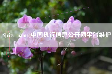 博白中国执行信息公开网平台维护