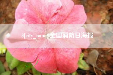 博白全国消防日海报
