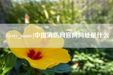博白中国消防网官网网址是什么