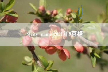博白2021年9宫格