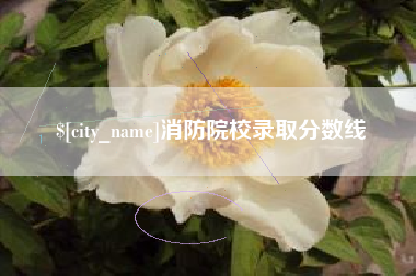 博白消防院校录取分数线