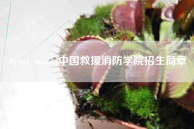 博白中国救援消防学院招生简章