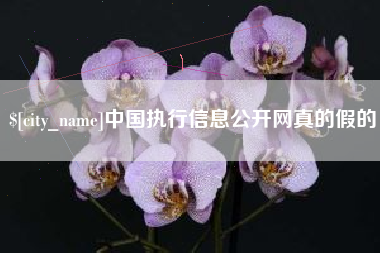 博白中国执行信息公开网真的假的