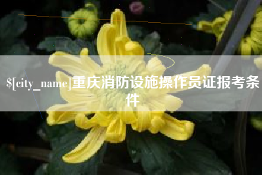博白重庆消防设施操作员证报考条件