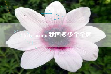 博白我国多少个金牌