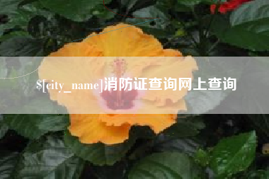 博白消防证查询网上查询