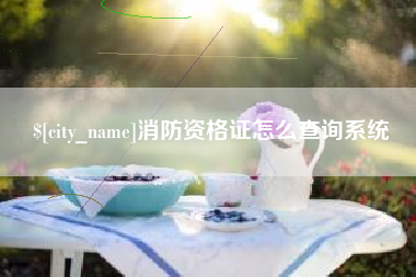 博白消防资格证怎么查询系统