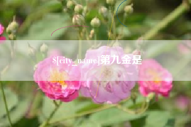 博白第九金是
