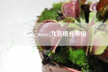 博白九宫格分布图