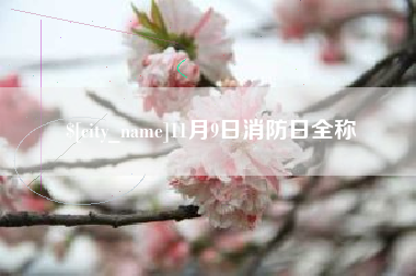 博白11月9日消防日全称