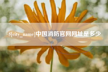 博白中国消防官网网址是多少