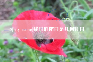 博白我国消防日是几月几日