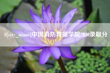博白中国消防救援学院2020录取分
