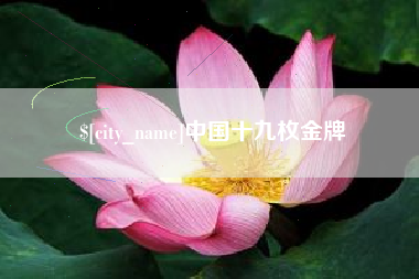 博白中国十九枚金牌