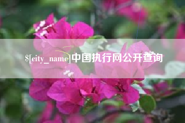 博白中国执行网公开查询