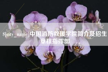 博白中国消防救援学院简介及招生章程指挥部