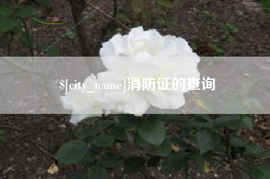 博白消防证的查询