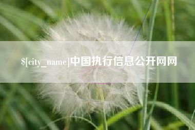 博白中国执行信息公开网网