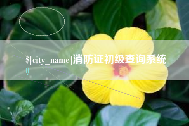 博白消防证初级查询系统