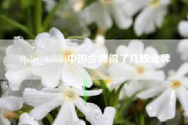 博白中国金牌得了几枚金牌