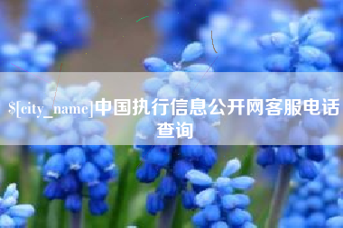 博白中国执行信息公开网客服电话查询