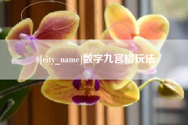 博白数字九宫格玩法