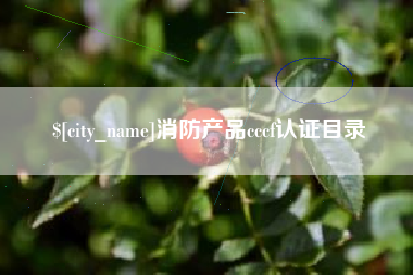 博白消防产品cccf认证目录