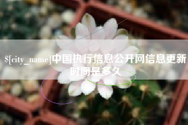 博白中国执行信息公开网信息更新时间是多久