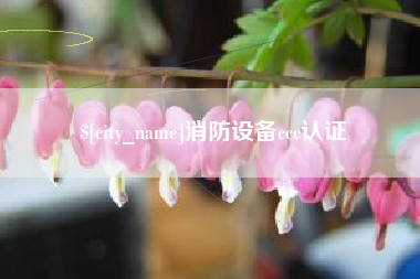 博白消防设备ccc认证