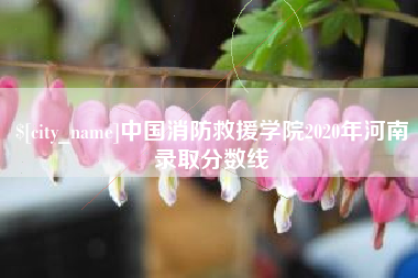 博白中国消防救援学院2020年河南录取分数线